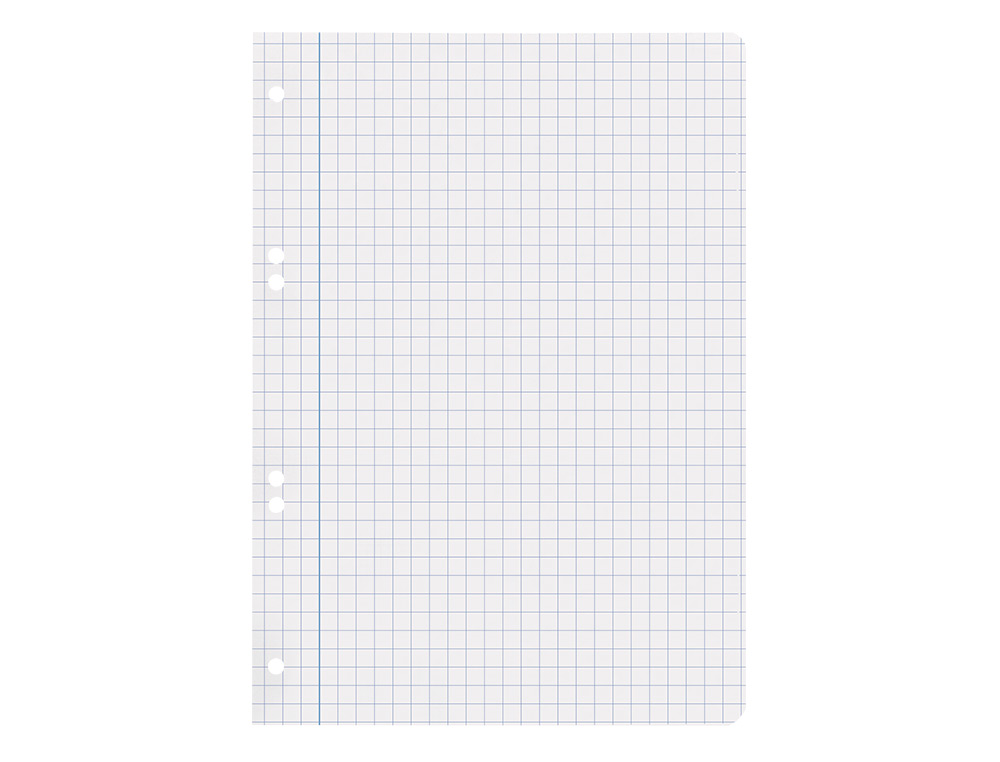 RECAMBIO LIDERPAPEL CUARTO 100 HOJAS 60GR CUADRO 8MM CON MARGEN 6 TALADROS